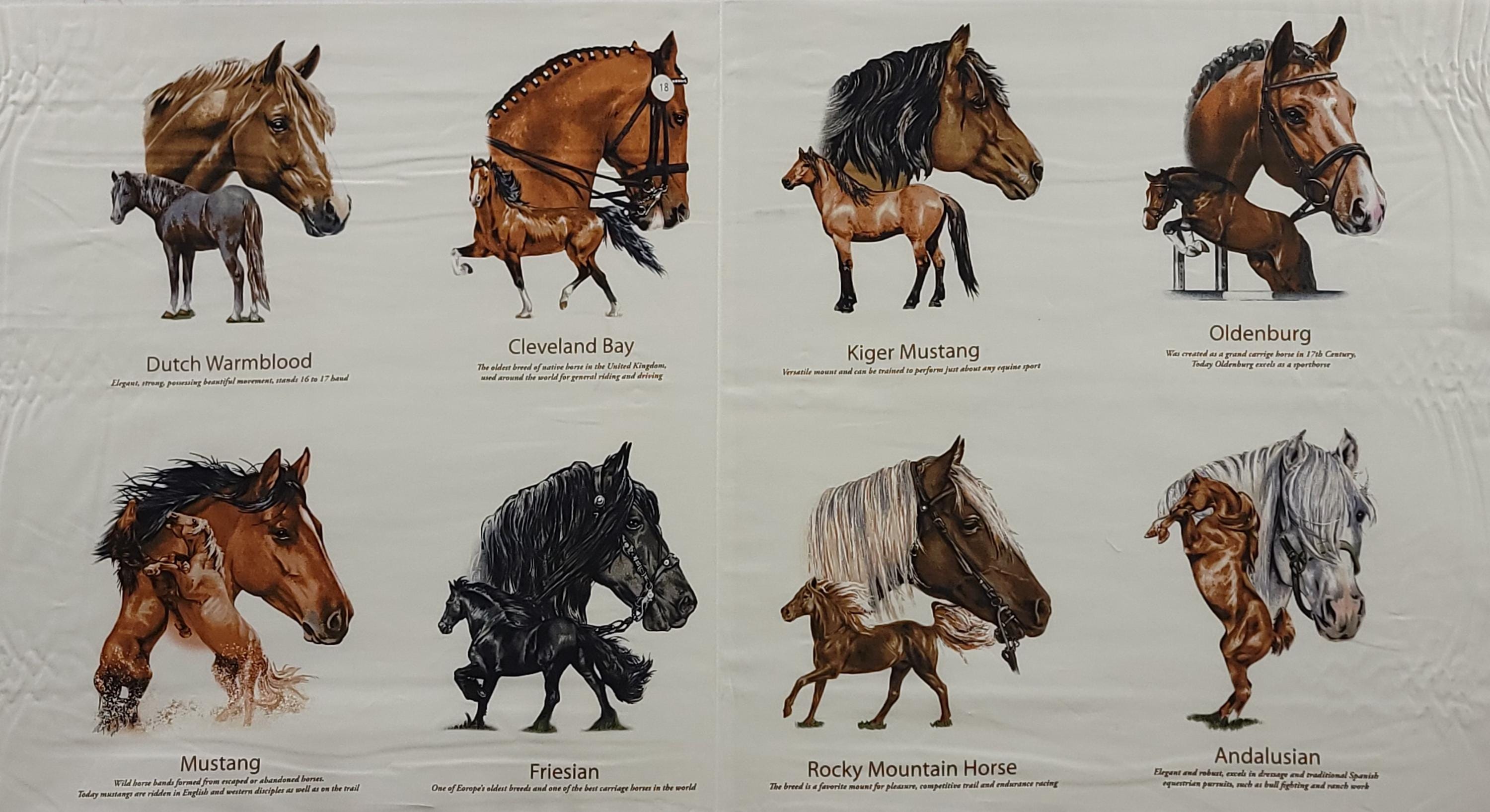 Horse Breeds Quilt Fabric Panel By Elizabeth Studios