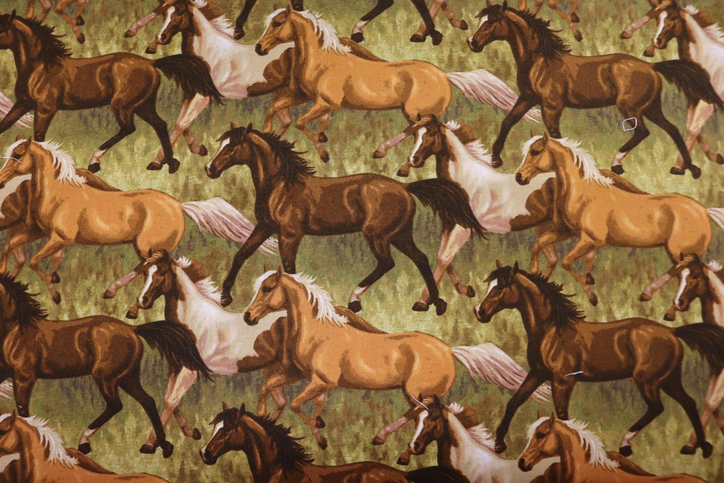 Hold Your Horses Running Horses Quilt Fabric by Studio E Fabrics