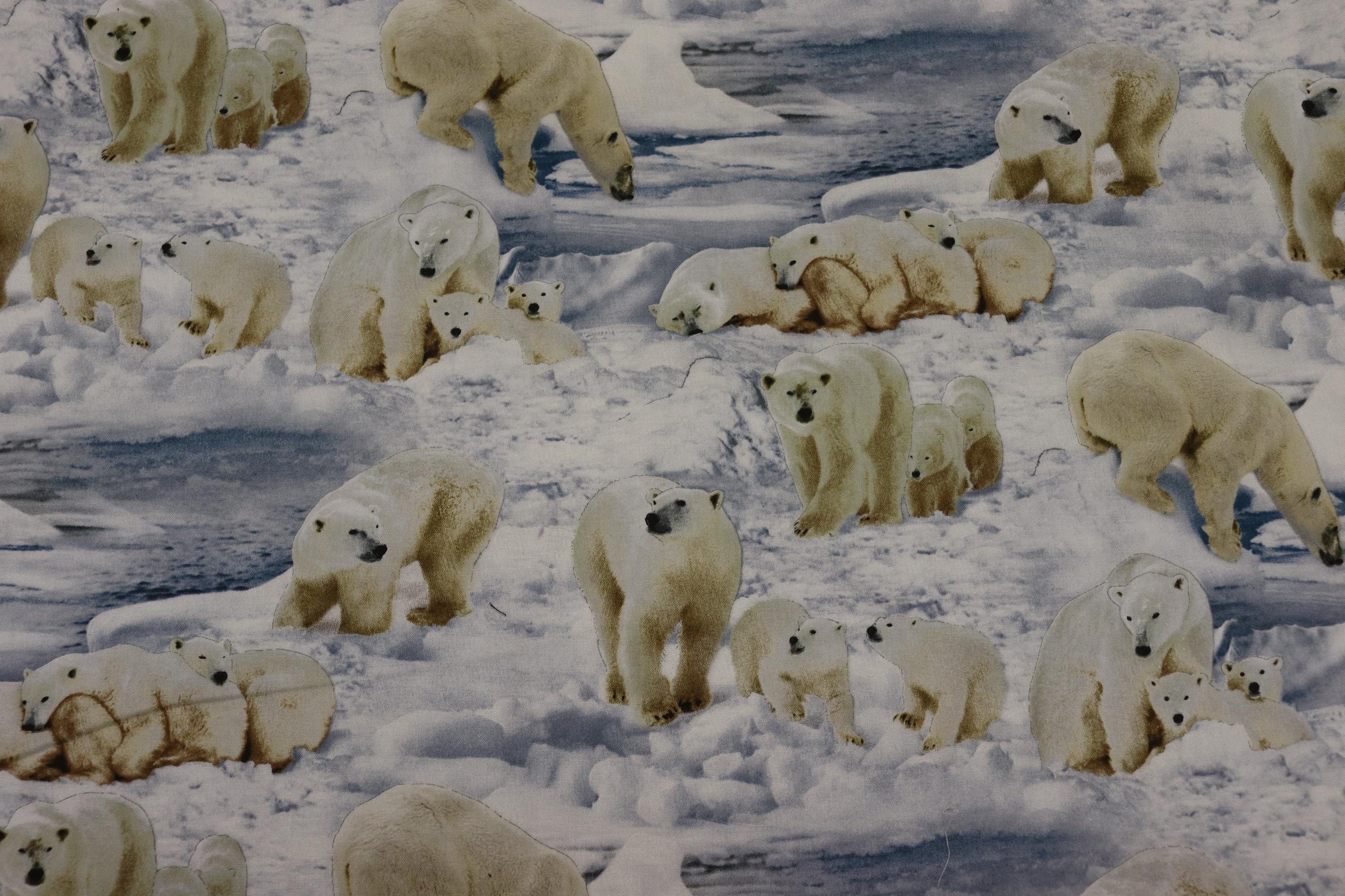 Polar Bears Quilt Fabric by Elizabeth Studios