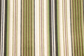 Working the West Green Stripes Quilt Fabric by Maywood Studios