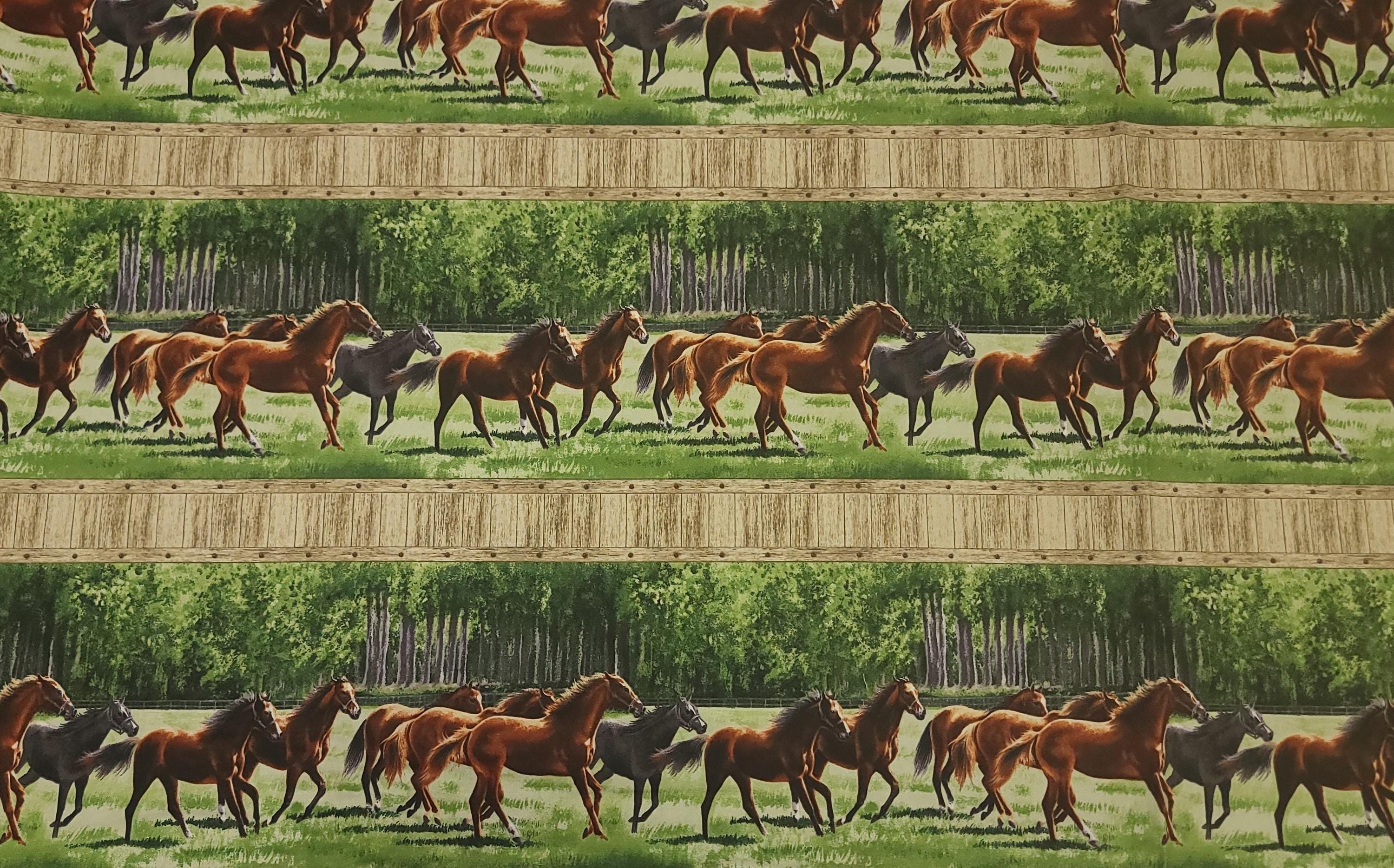 Pleasant Pastures Horses Border Quilt Fabric Yardage By Northcott Fabrics