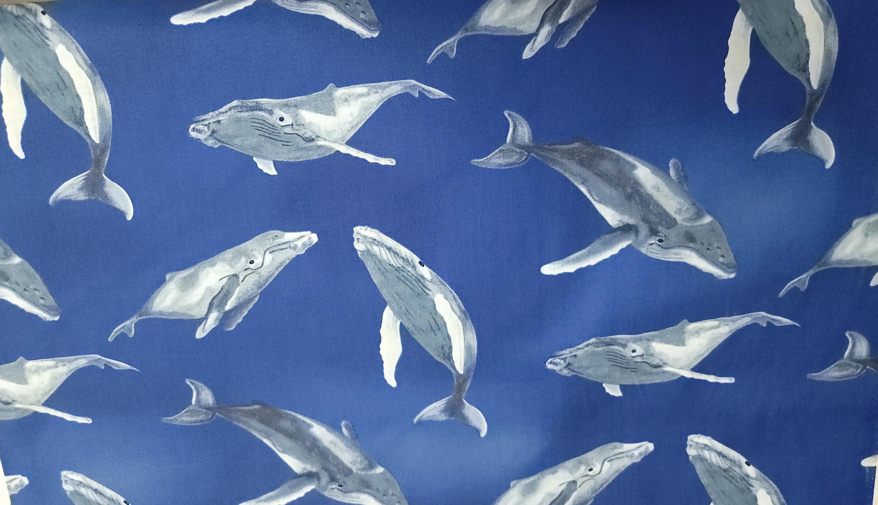 Whale of a Tale Quilt Fabric by Michael Miller