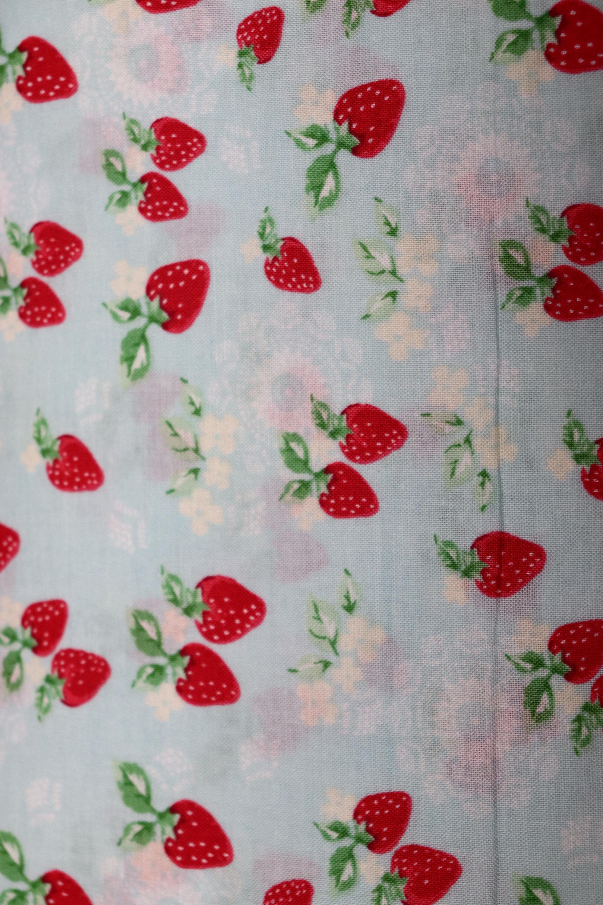 Light Blue with Strawberries Quilt Fabric