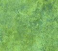 Stonehenge Celtic Roots Lime Multi Quilt Fabric By Northcott Fabrics