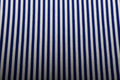 Blue with White Stripes Quilt Fabric