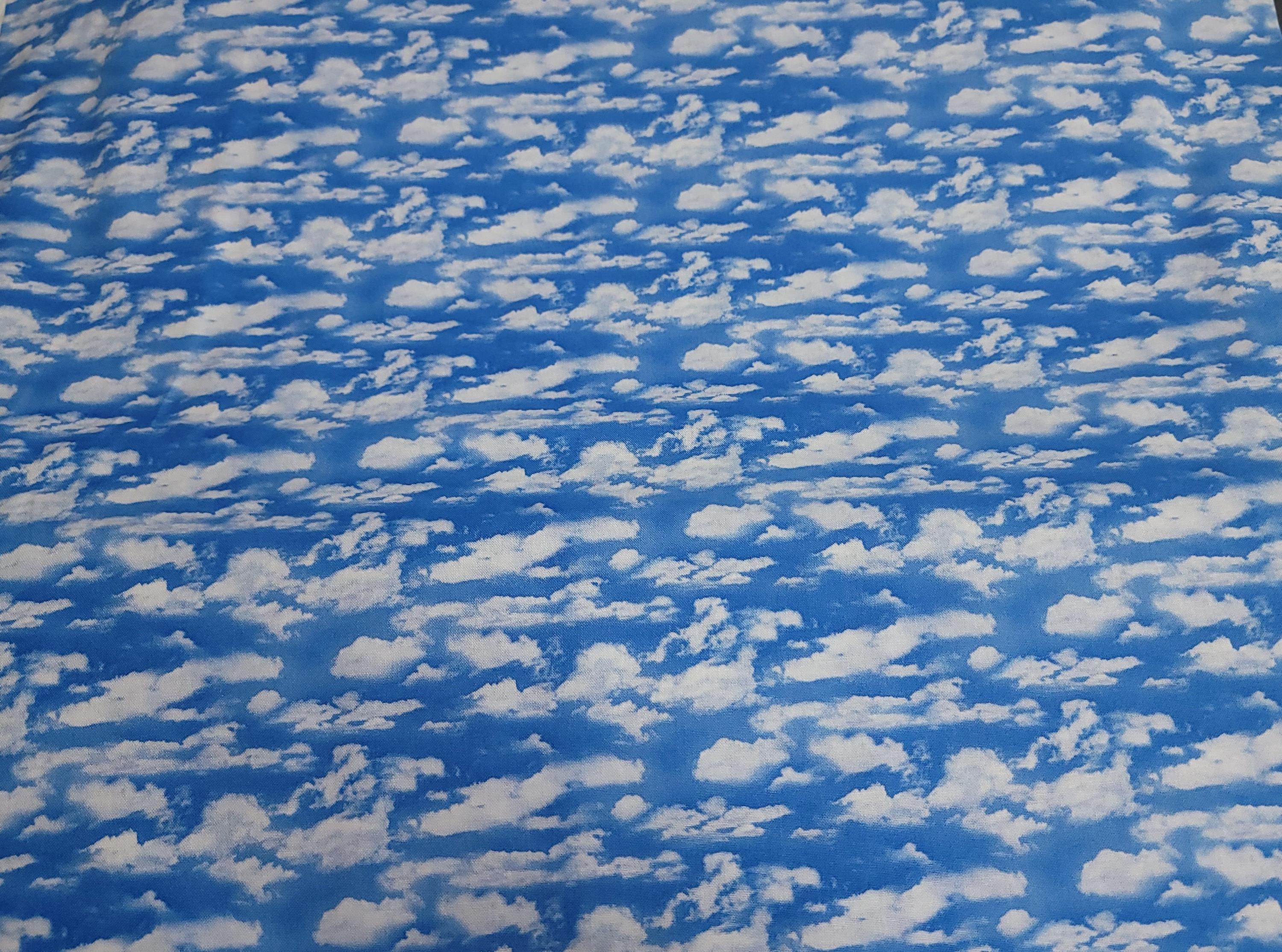 Landscape Medley Blue 505 Blue Sky White Clouds Quilt Fabric By Elizabeth Studios