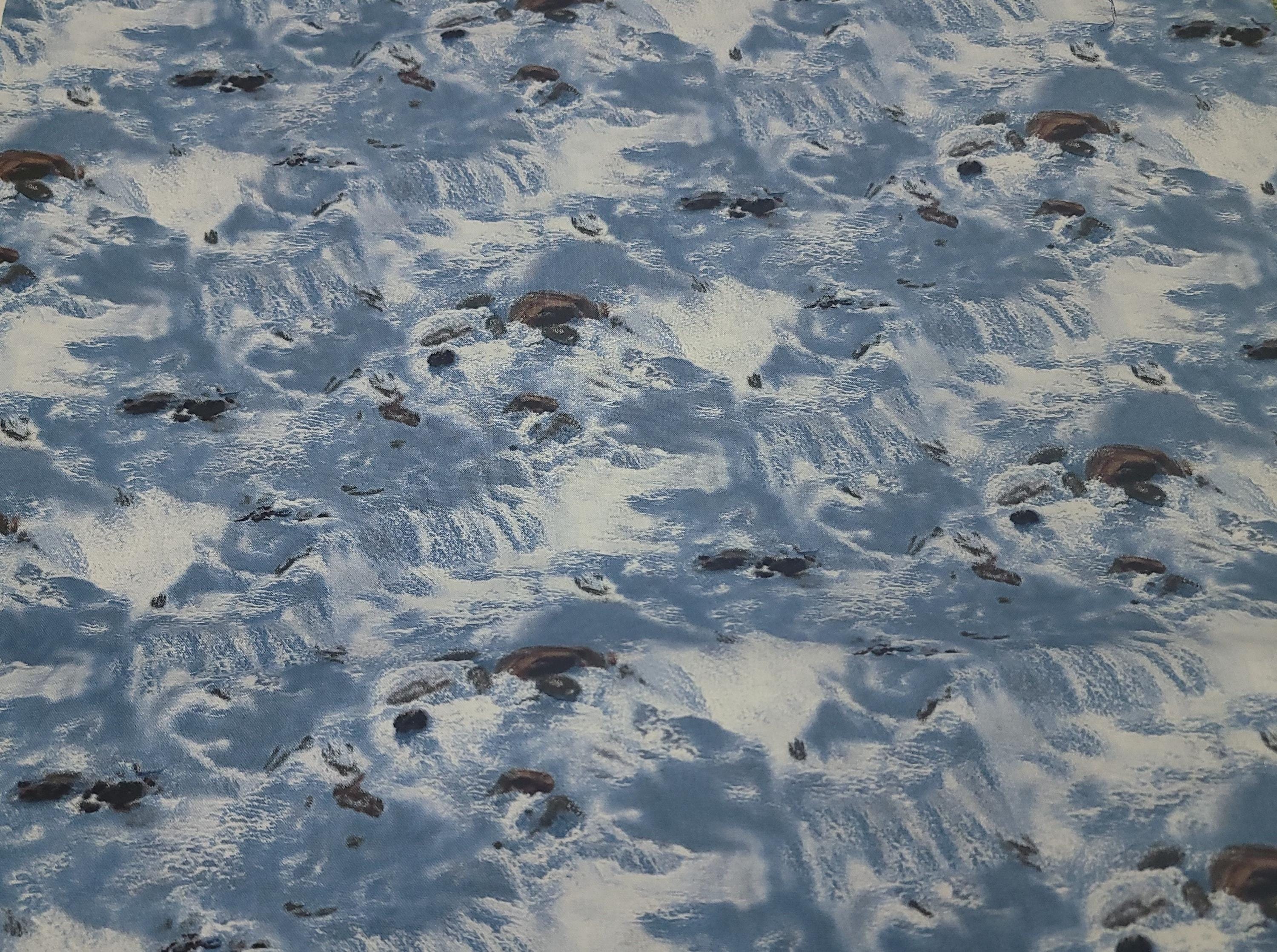 Landscape Medley Blue 175 Water and Rocks Quilt Fabric By Elizabeth Studios