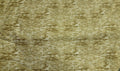 Living Lodge Gold Quilt Fabric By Benartex