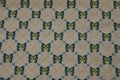 Daisy Garden Butterflies Green Quilt Fabric By QT Fabrics