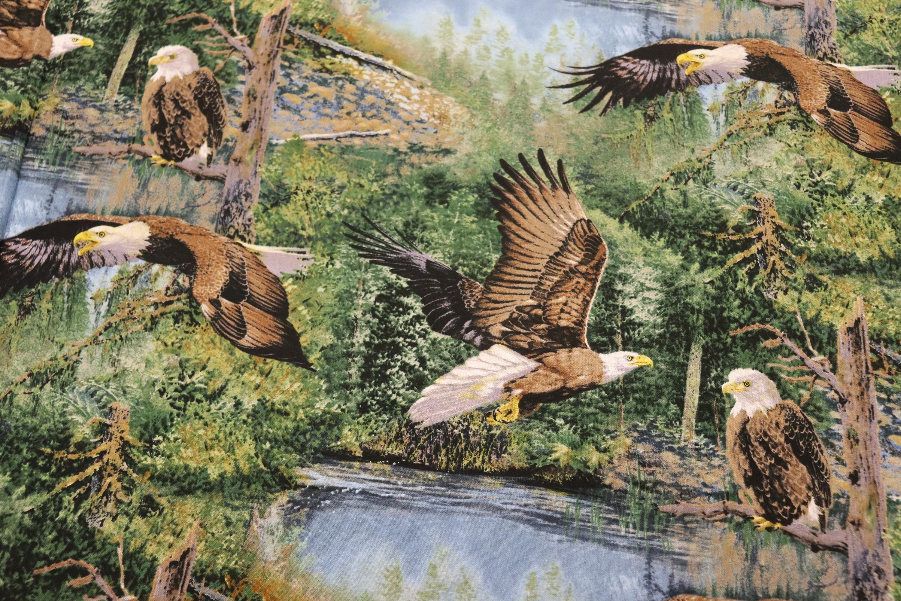 Winged Warrior Eagle Quilt Fabric By Springs Creative