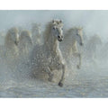 Wild Horses Running Wild Quilt Fabric Panel By Riley Blakes Fabrics