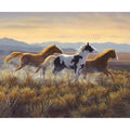 Wild Horses Open Country Horse Quilt Panel ~ Riley Blakes Fabrics