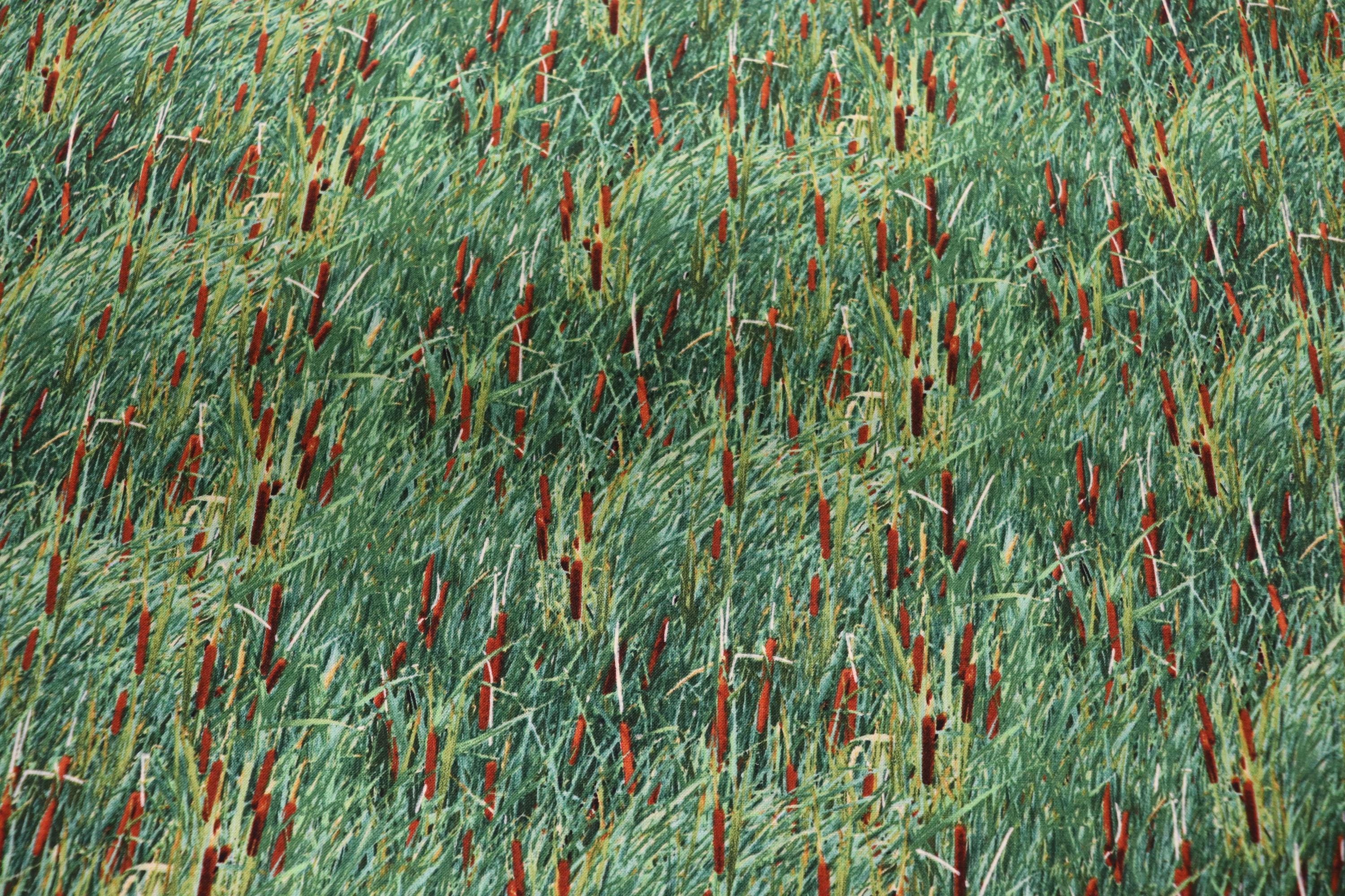 Landscape Medley Green 424 Cat Tails Quilt Fabric By Elizabeth Studio