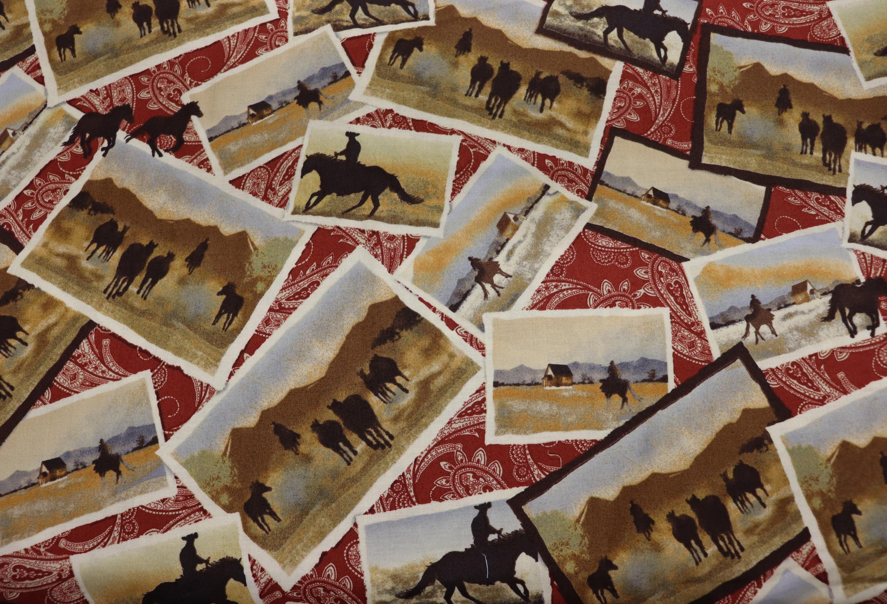 Hold Your Horses Horse Pictures With Red Background Quilt Fabric by Studio E Fabrics
