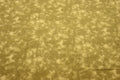 Stone Camel Gold Flannel Fabric