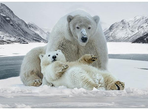Call of the Wild Frost Polar Bears Quilt Fabric Panel By Hoffman Fabrics