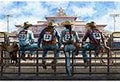 Rodeo Dreams Denim Quilt Fabric Panel By Hoffman Fabrics