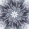 Dream Big Leaf Quilt Fabric Panel Hoffman Spectrum Print