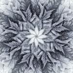 Dream Big Leaf Quilt Fabric Panel Hoffman Spectrum Print