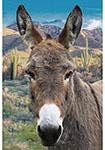 Call of the Wild Rusty-Donkey Quilt Fabric Panel By Hoffman Fabrics