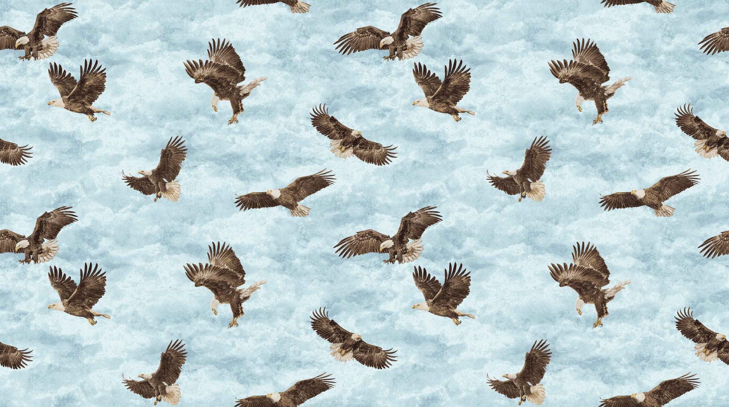 Eagle Pass Stonehenge Flying Eagles Allover Quilt Fabric By Northcott Fabrics