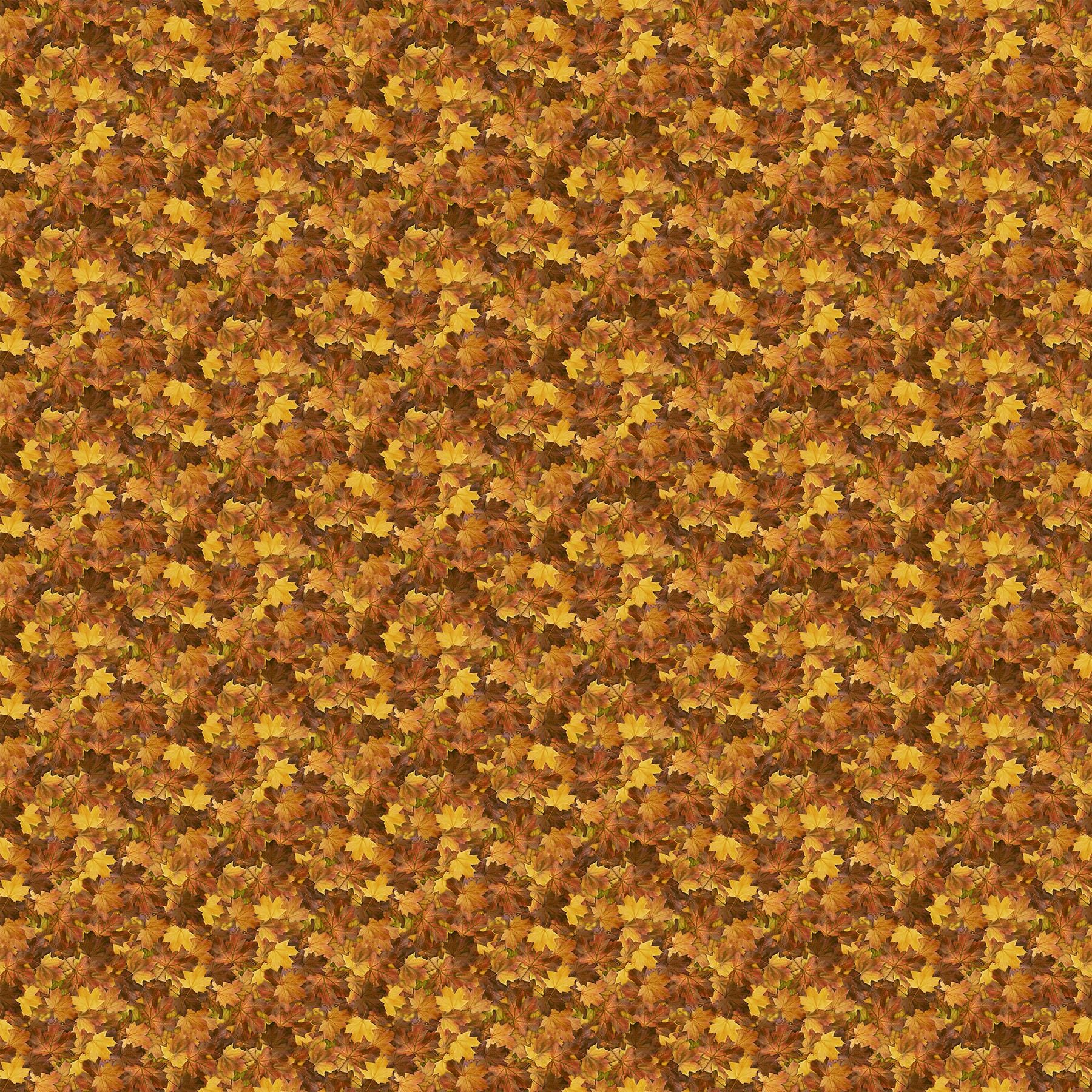 Naturescapes Wilderness Fall Leaves Allover By Northcott Fabrics