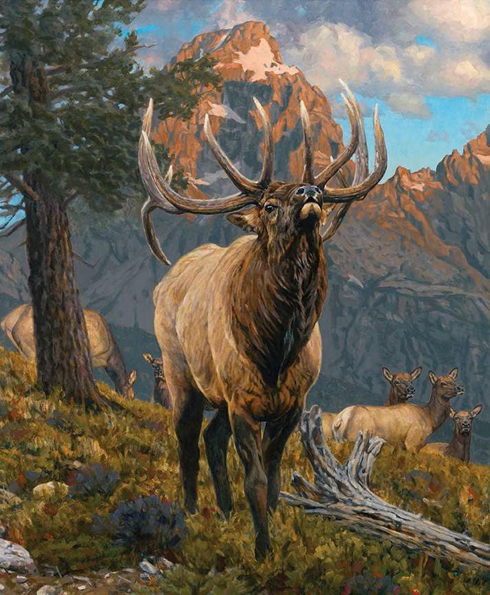 Majestic in Nature Grand Elk Quilt Fabric Panel By Riley Blake Designs