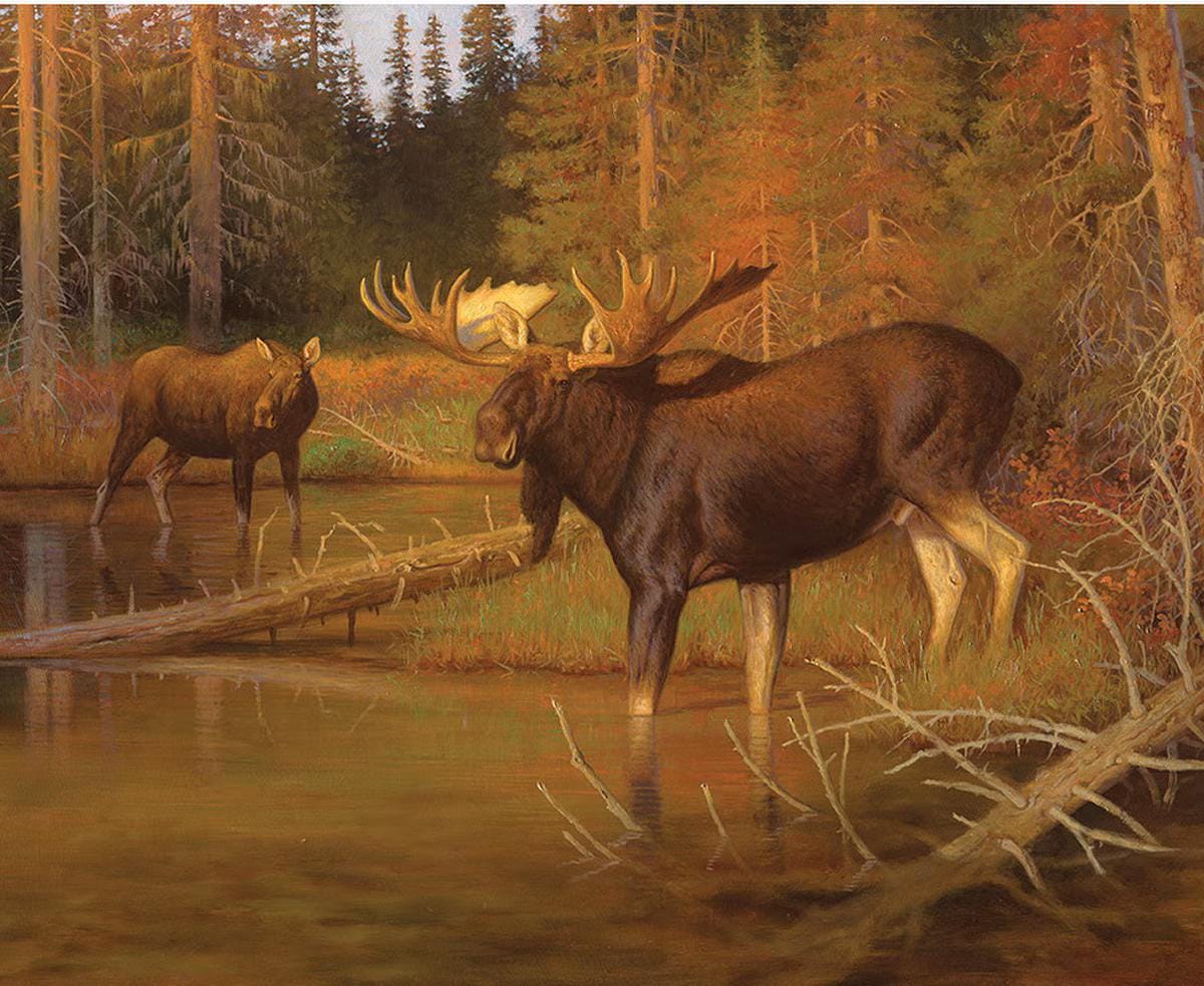 Majestic in Nature Intruder Moose Quilt Fabric Panel By Riley Blake Designs