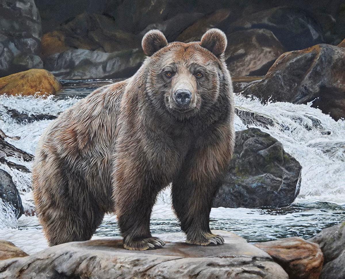 Majestic in Nature No Fish Today Bear Quilt Fabric Panel By Riley Blake Designs