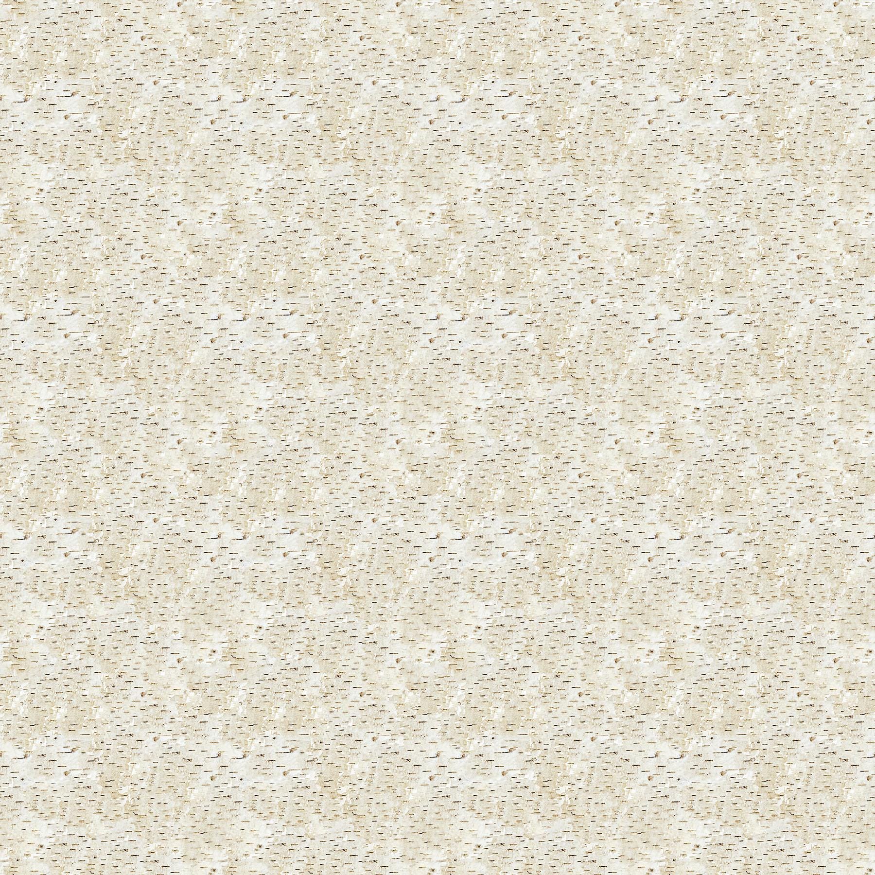 Naturescapes Wilderness Tree Bark Allover By Northcott Fabrics
