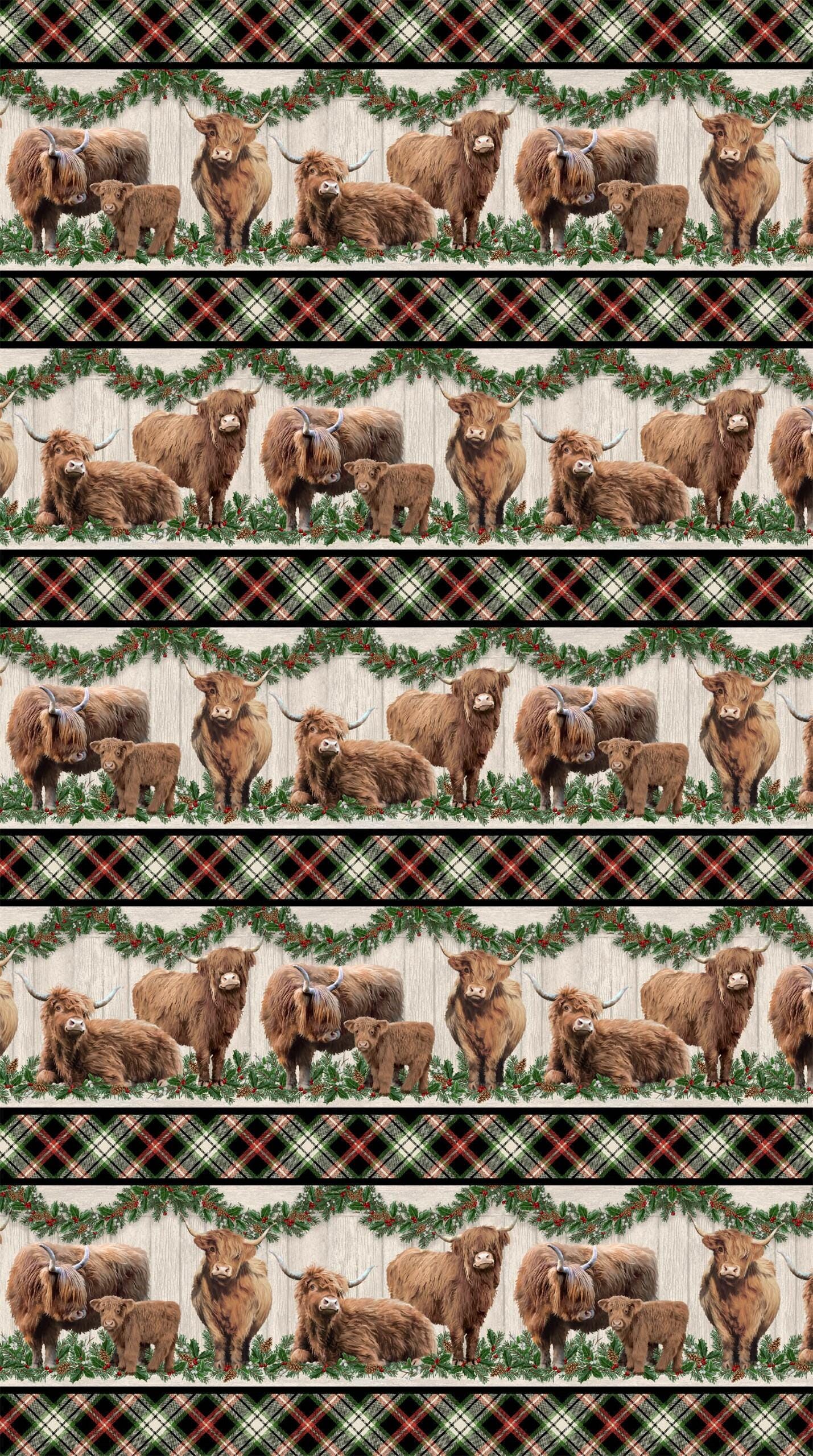 Highland Heart Border Stripe Quilt Fabric by Northcott Fabrics