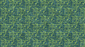 Dino Roar Dinosaur Names Quilt Fabric by Northcott Fabrics