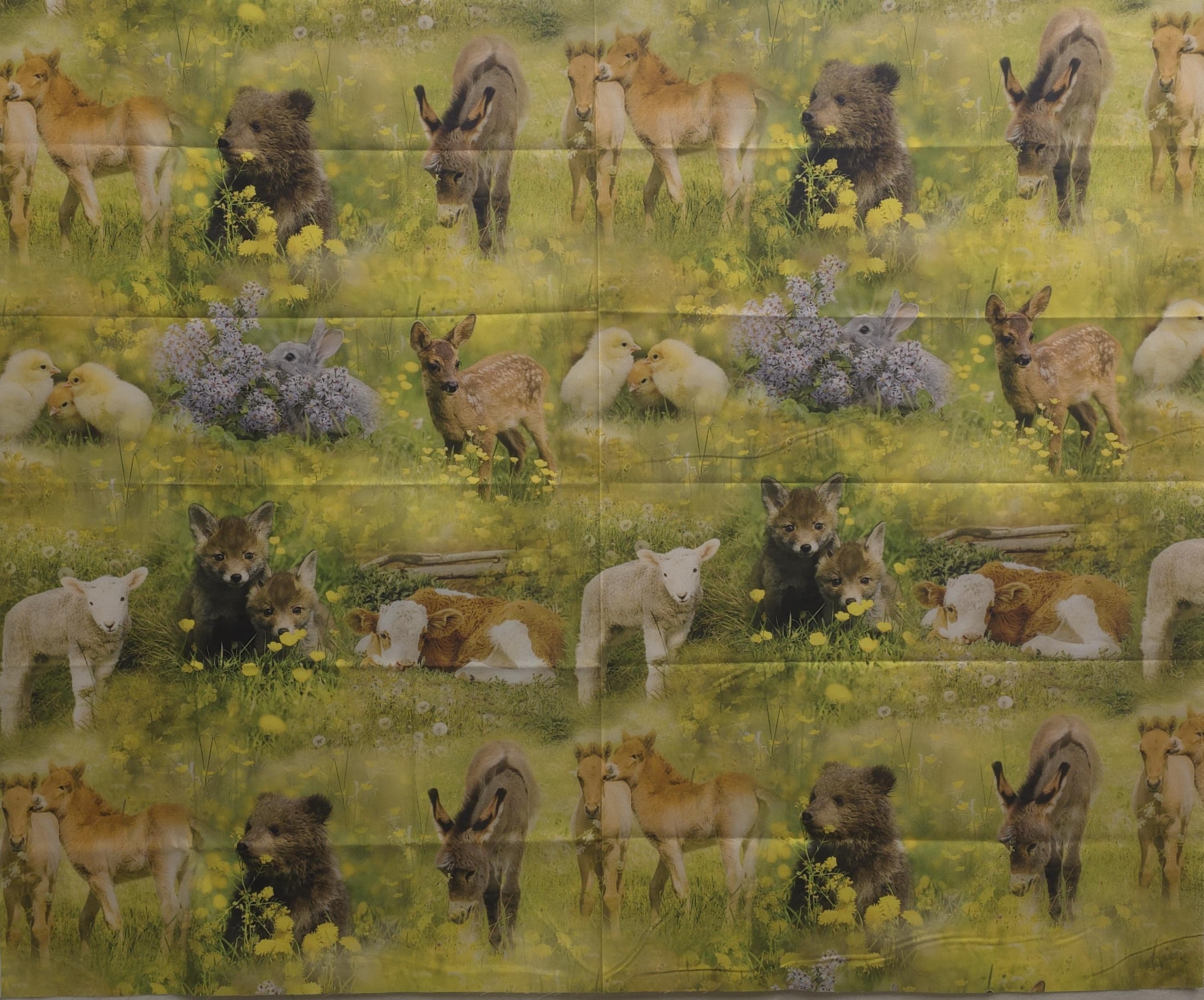 Sun Up To Sundown Baby Animals Quilt Fabric by Hoffman Fabrics