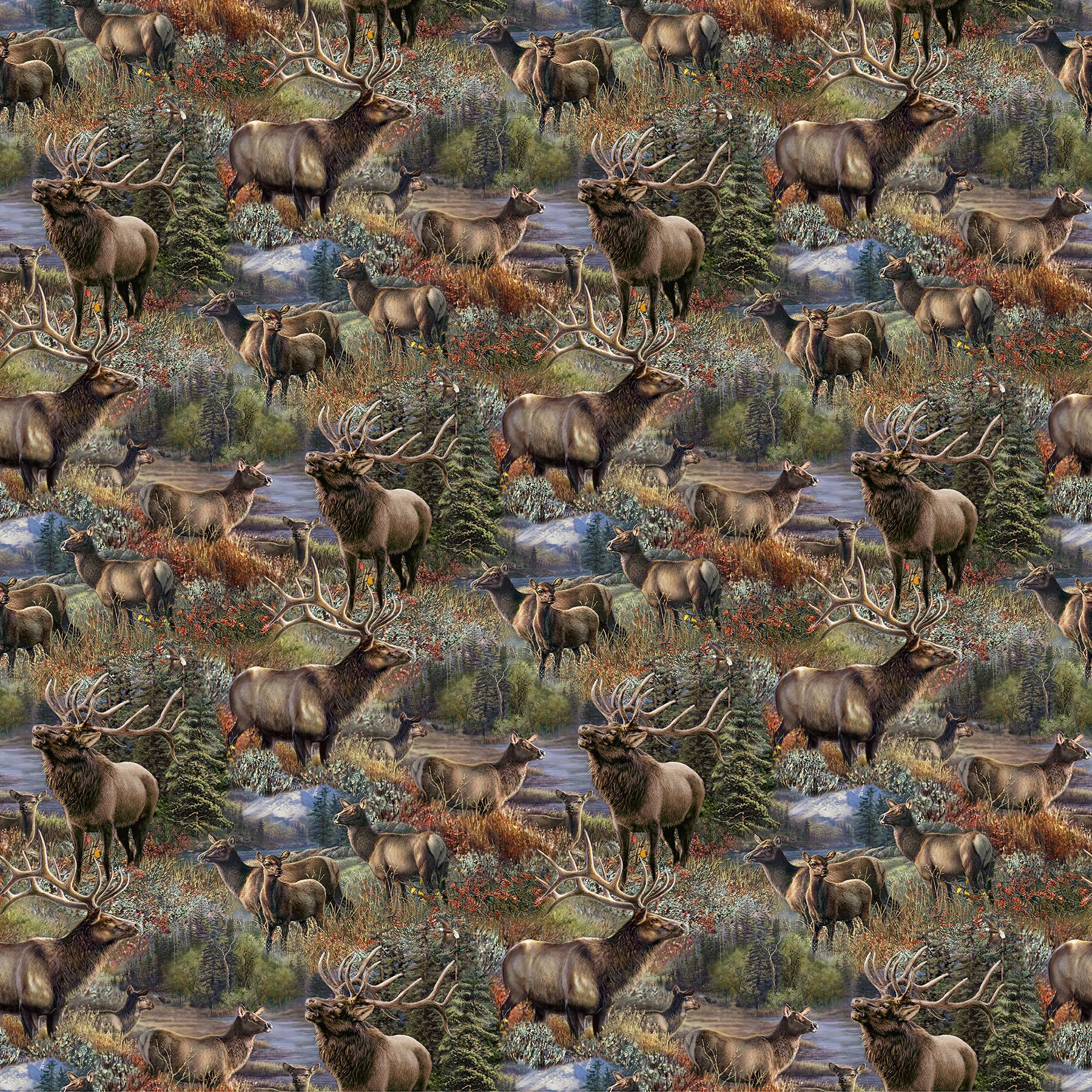 Timber Trail Elk Scene Allover Quilt Fabric by Northcott Fabrics