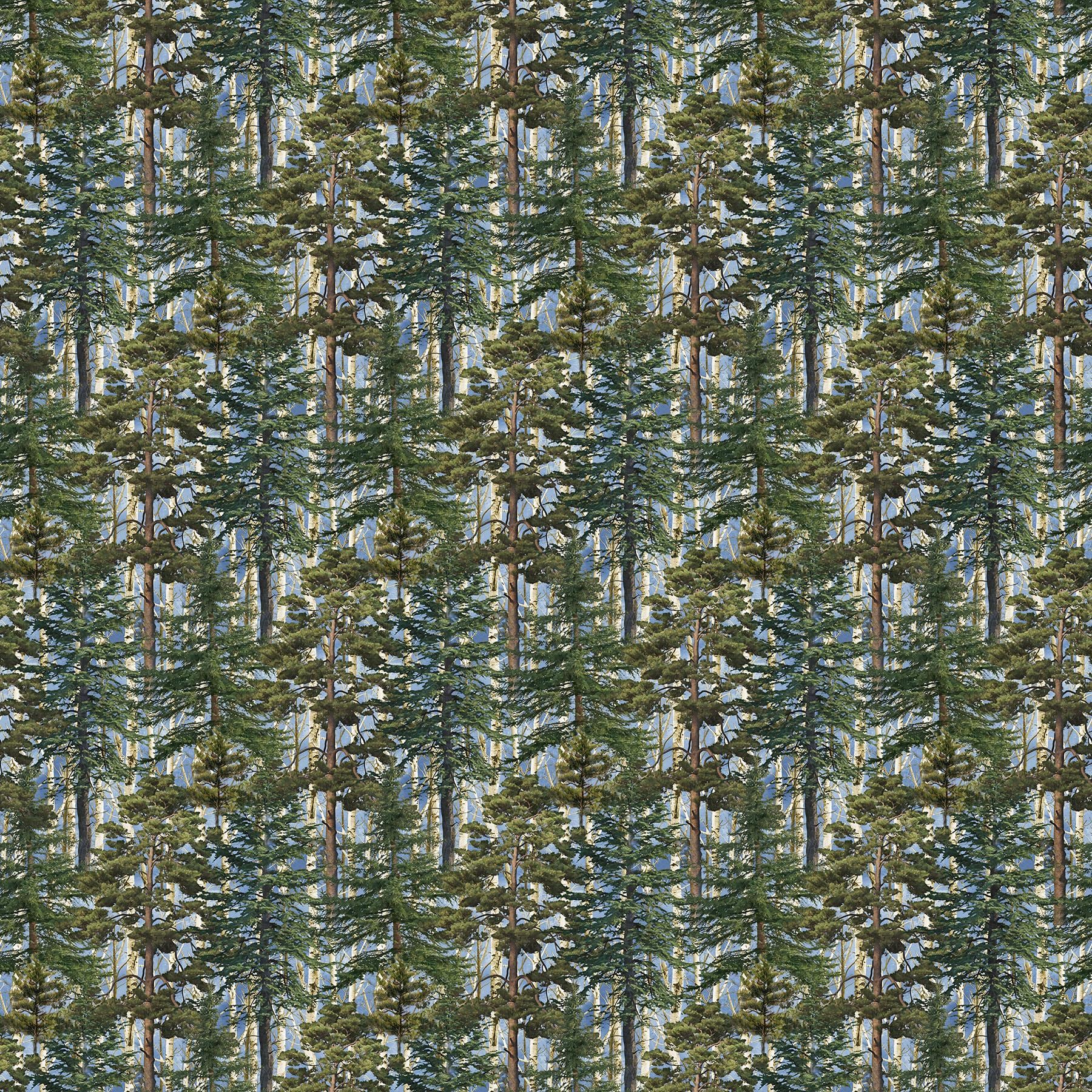Timber Trail Evergreen Trees Allover Quilt Fabric by Northcott Fabrics