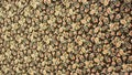 Brown Paisley Small Print Quilt Fabric