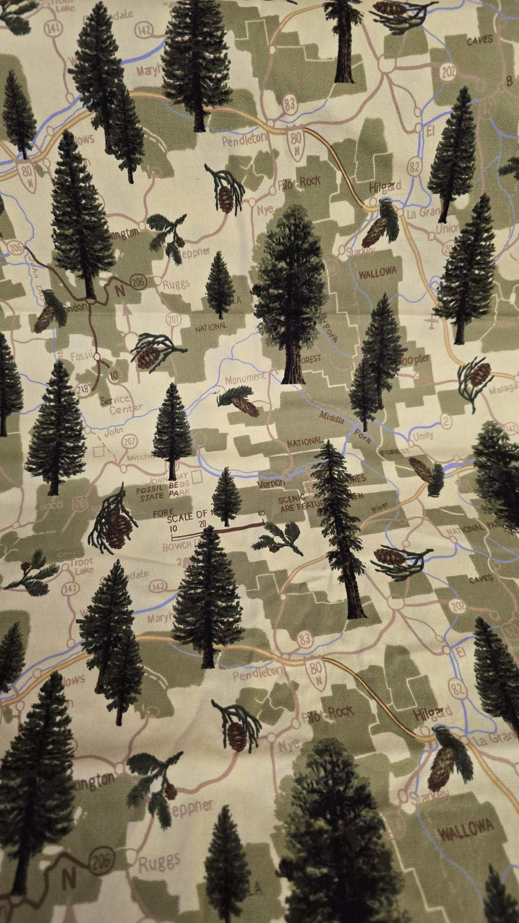 Oregon Map Quilt Fabric by Hi Fashion Fabrics HF-C 1276