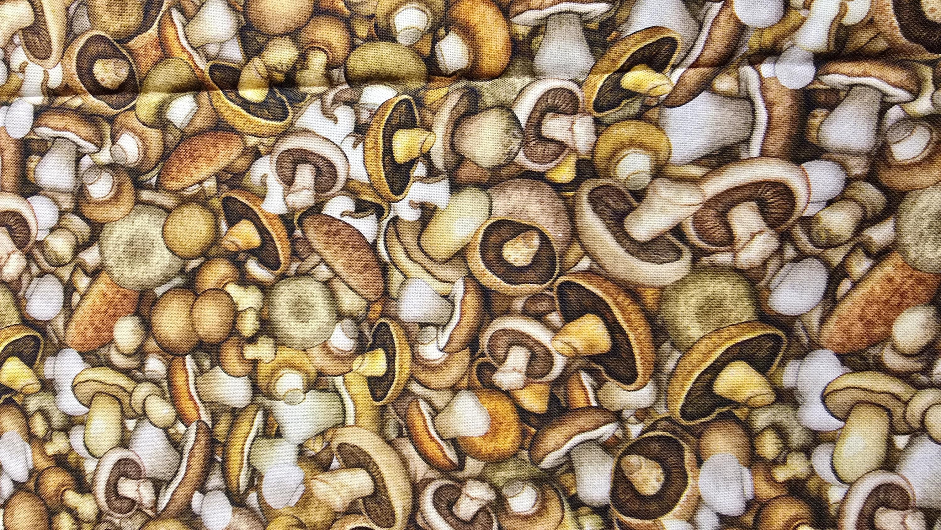 Mushrooms Allover Quilt Fabric by QT Fabrics