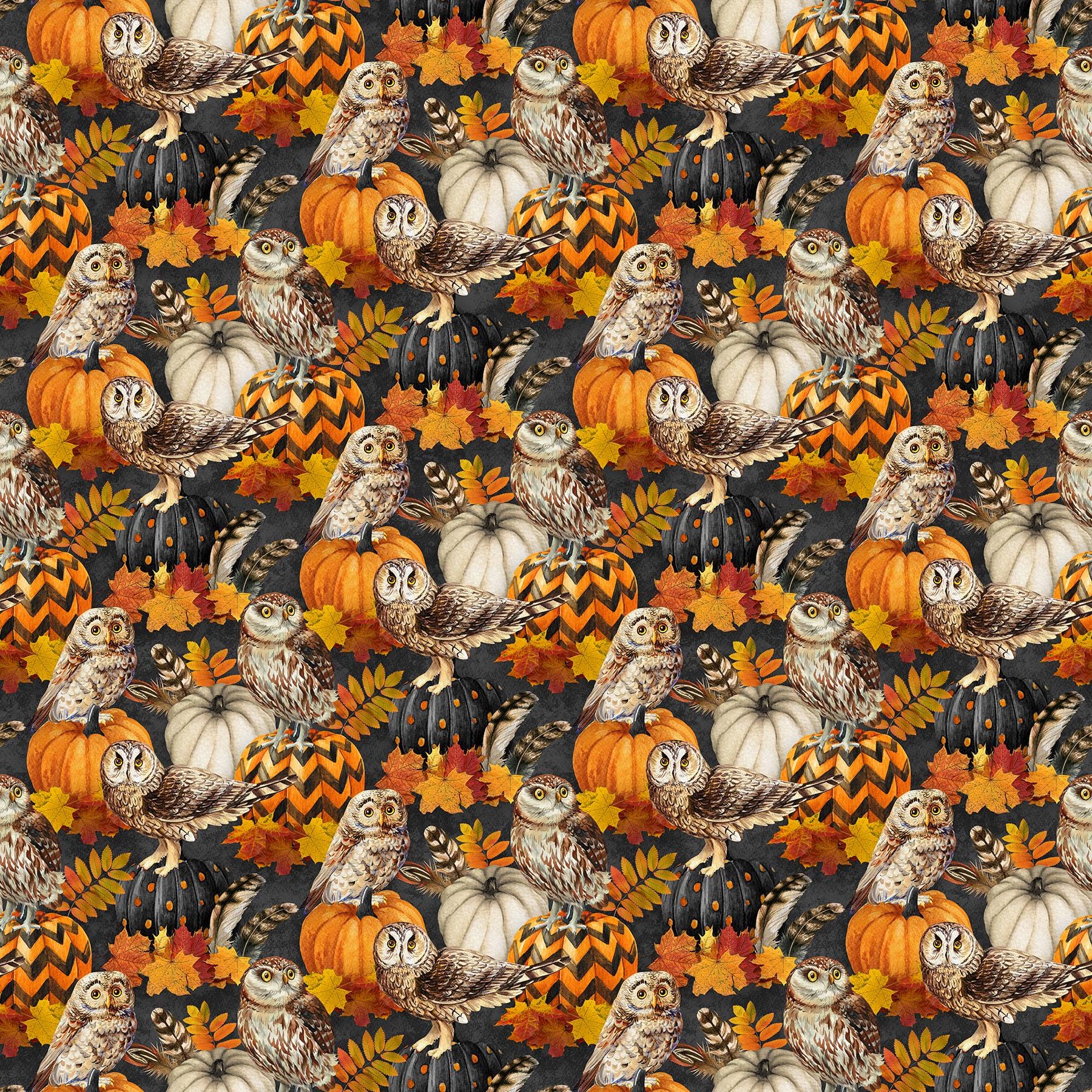 Night Owl Packed Owls and Pumpkins Quilt Fabric By Northcott Fabrics