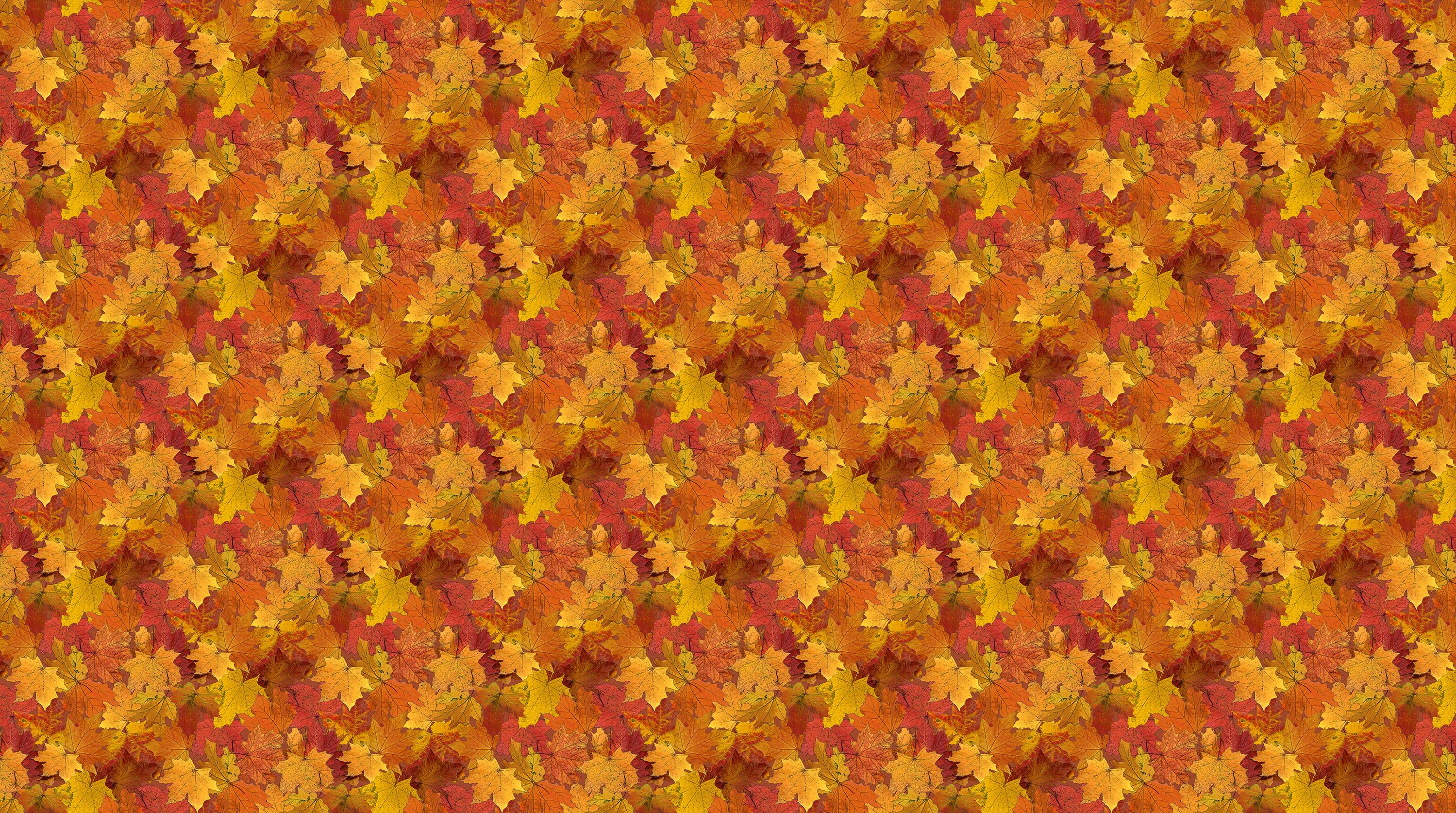 Night Owl Fall Leaves Quilt Fabric By Northcott Fabrics