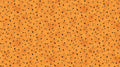 Night Owl Orange Background With Flying Black Birds Quilt Fabric By Northcott Fabrics