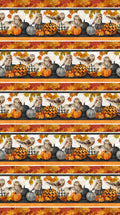 Night Owl Border Stripe Quilt Fabric By Northcott Fabrics