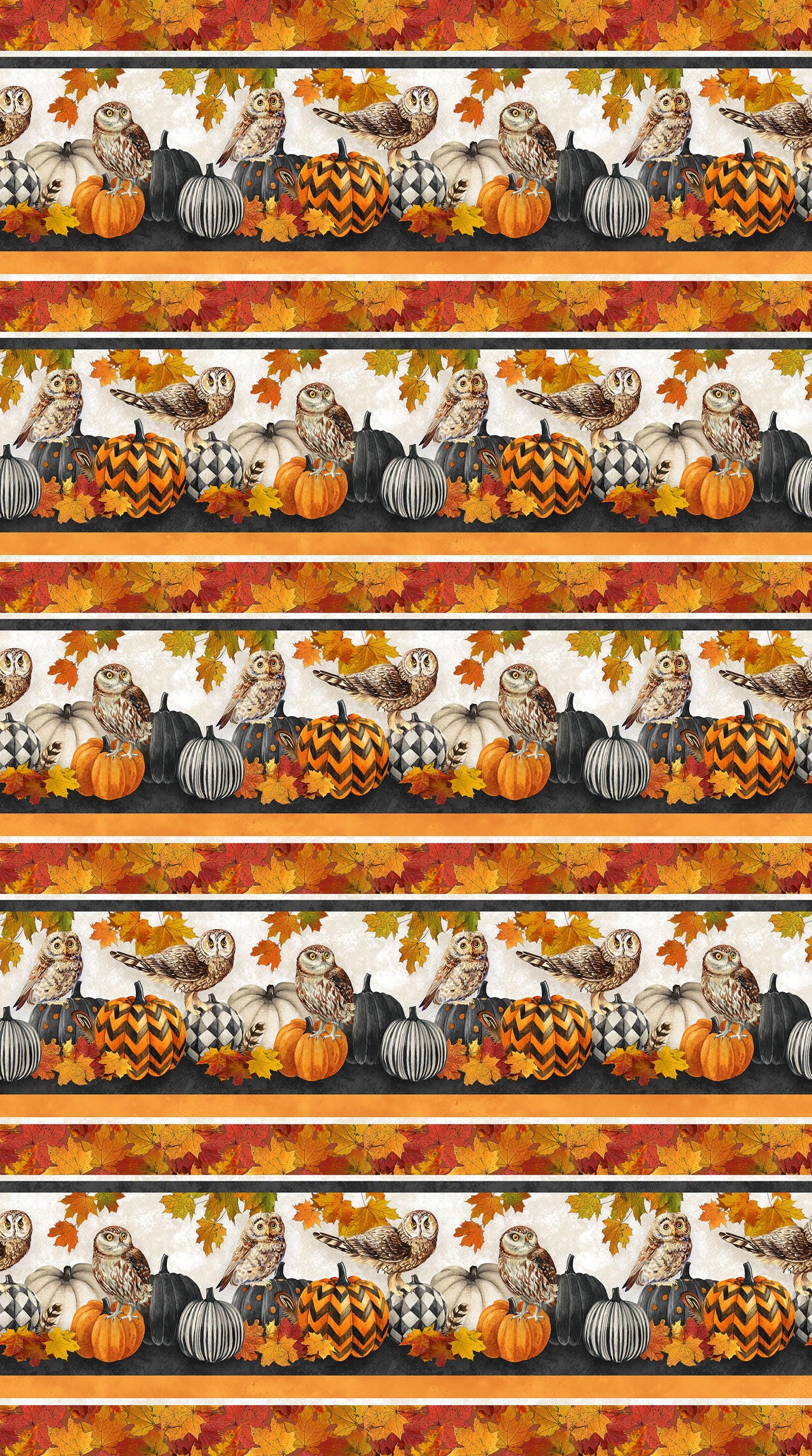 Night Owl Border Stripe Quilt Fabric By Northcott Fabrics