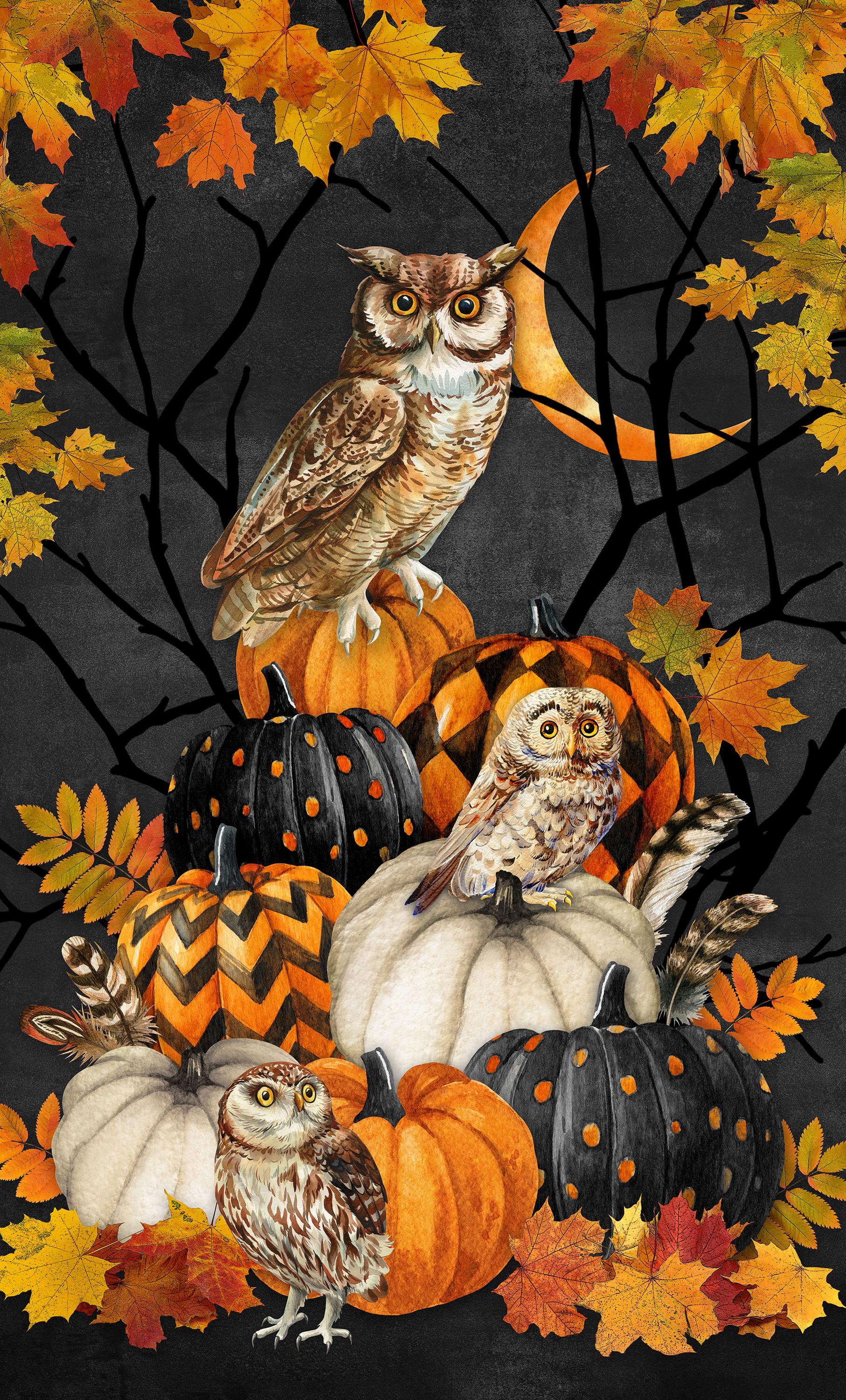 Night Owl Halloween Harvest Quilt Fabric Panel By Northcott Fabrics