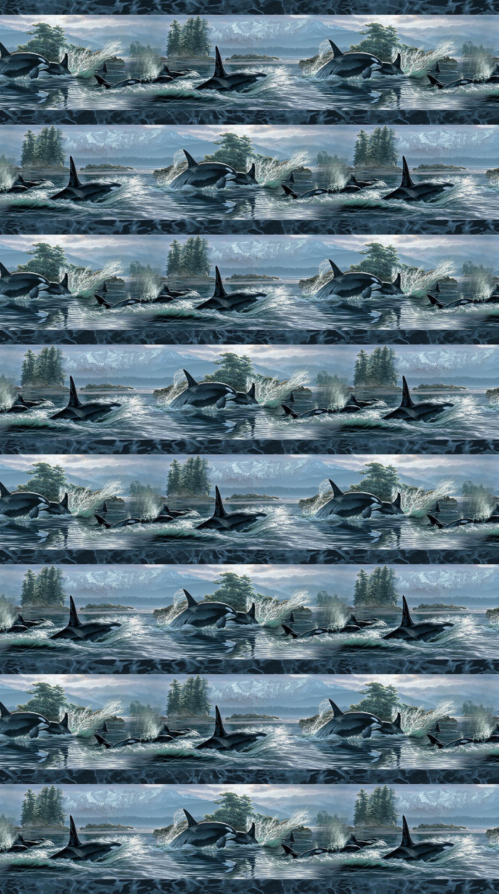 Voyage Orcas Border Stripe Quilt Fabric Panel By Northcott Fabrics.
