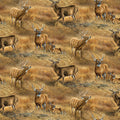 Birchwood Whitetail Deer In A Field Quilt Fabric By Northcott