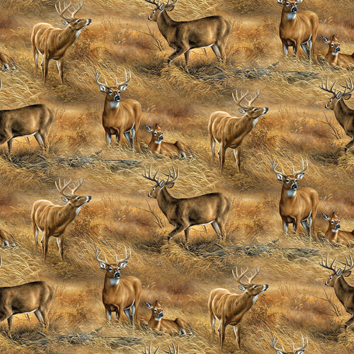 Birchwood Whitetail Deer In A Field Quilt Fabric By Northcott