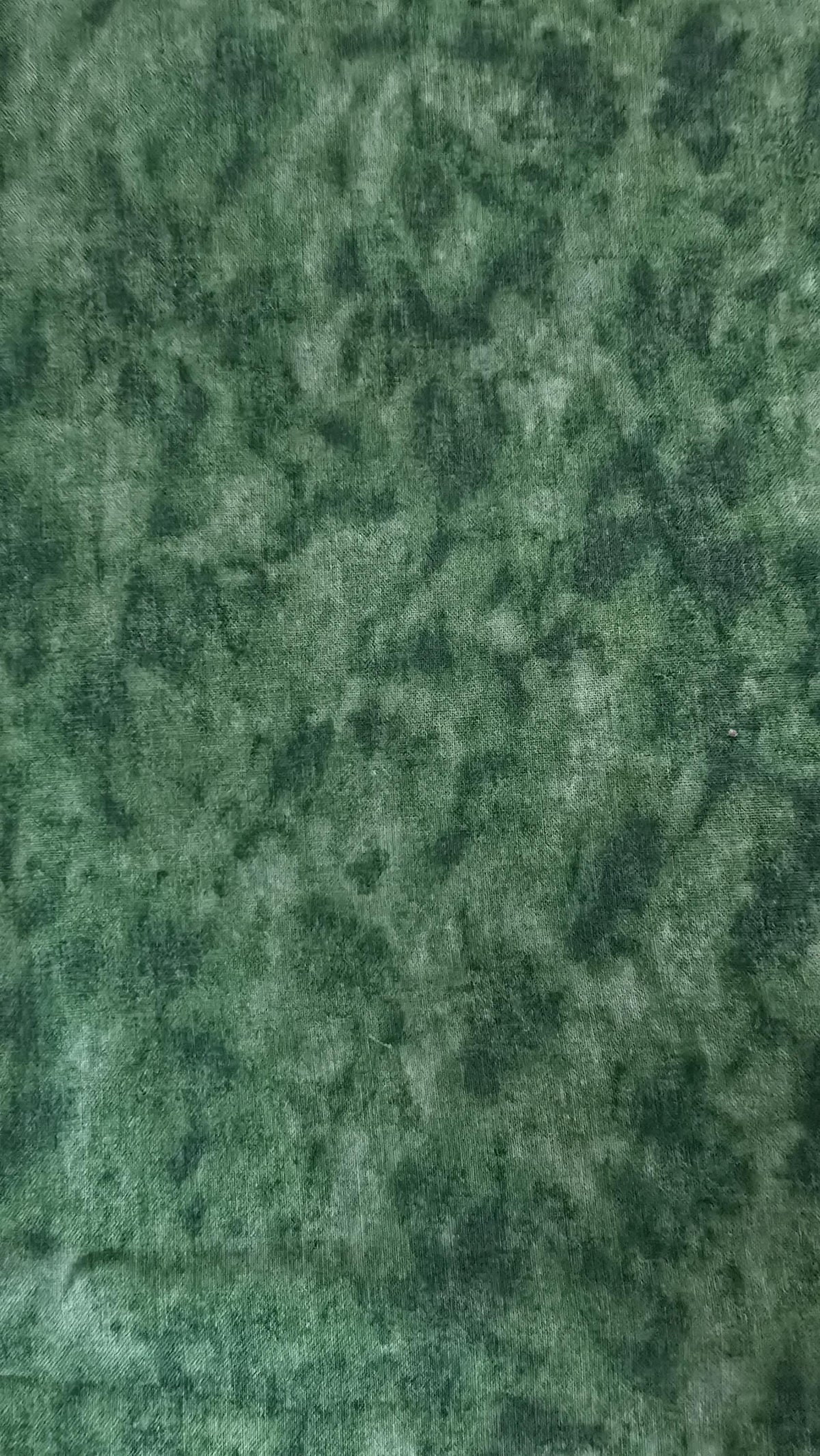 Green Tonal Quilt Fabric by Julia Cairns Quilt Shop Cranston Print Works