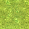 Solid-Ish Fern Green Quilt Fabric by Timeless Treasures